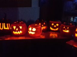 20181018_100400 1